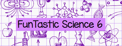 Funtastic science 6 blog